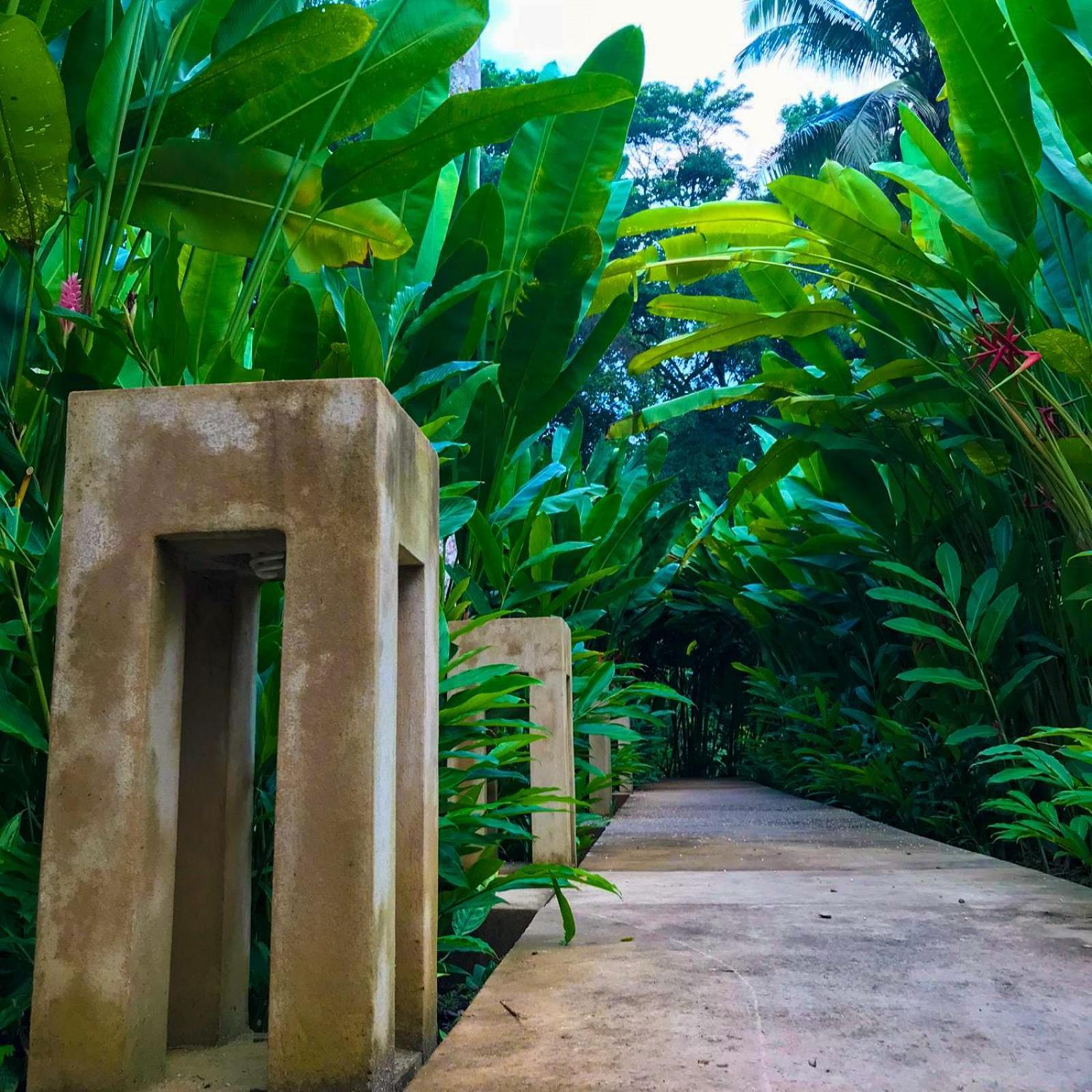 Hotel Maya Bell Palenque Exterior foto